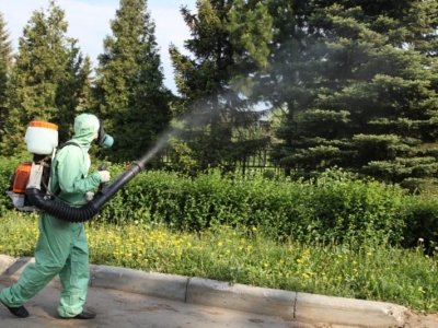 Уничтожение комаров в Павловском Посаде